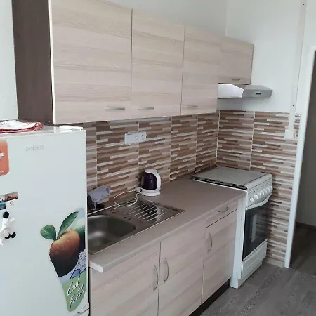 Apartman Trutnov 아파트 *